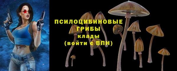 стафф Куйбышев