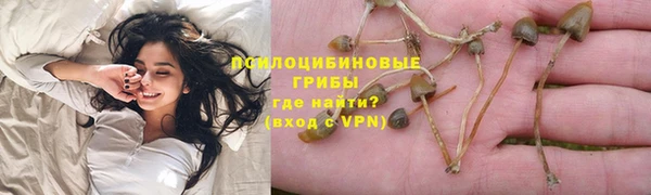 стафф Куйбышев
