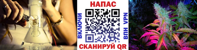 где продают наркотики  Цимлянск  Канабис сатива 